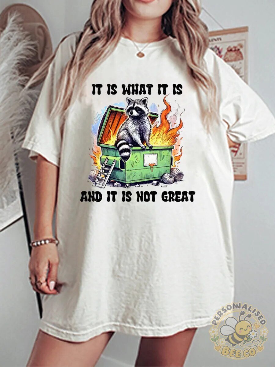 It Is What It Is Raccoon Dumpster Fire Funny Meme Graphic T-Shirt